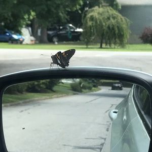 Meet your Posher, Danielle